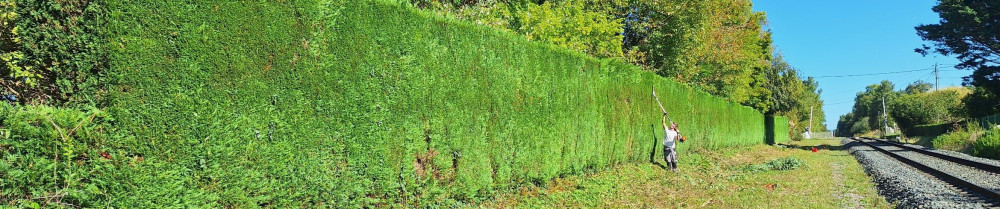 Sinaï O. (Oudin Nature et Jardin)