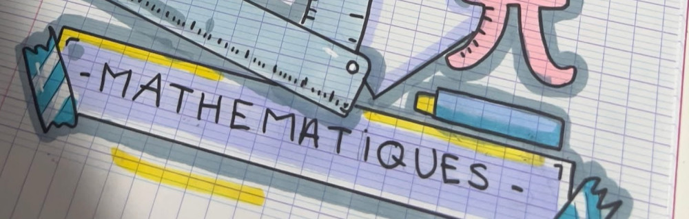 Yasmina S. (ys consultings)