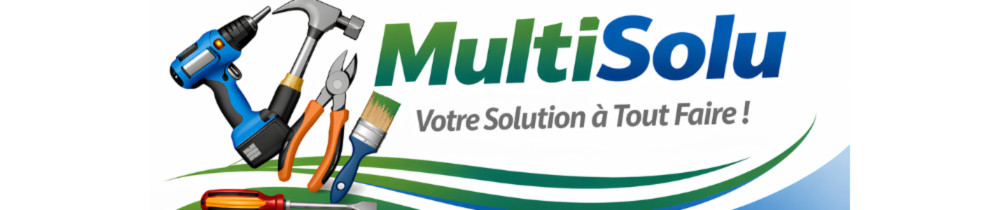 Alexandre P. (MultiSolu)
