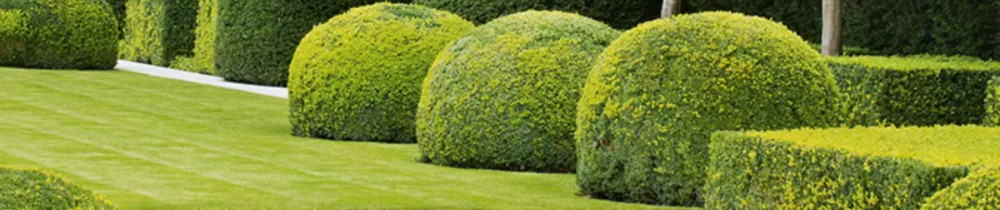 Quentin R. (-50% Crédit d'Impôt)