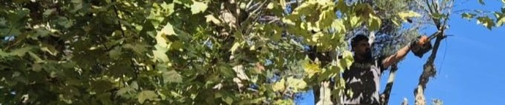 Giovanni R. (entreprise reinard)