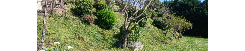 Marianne S. (Clean garden)