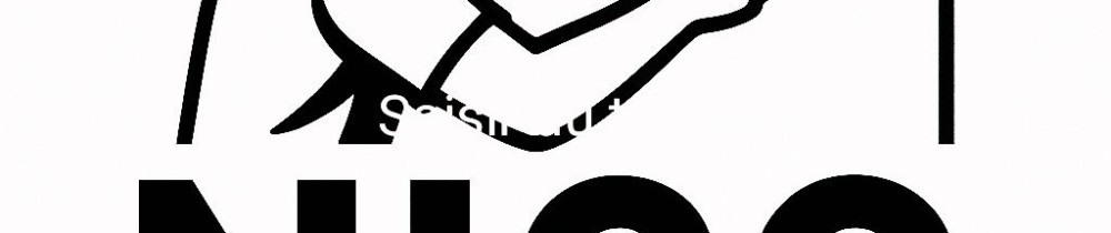 Nicolas P. (Nicofinition)