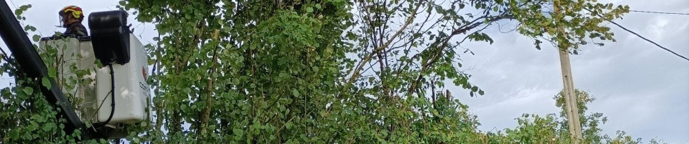 Angelo A. (Entreprise Auffray)