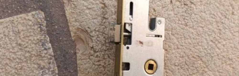 Mounir D. (Carasecu)