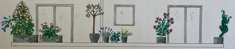 Jean-Philippe P. (Jardin Passion)