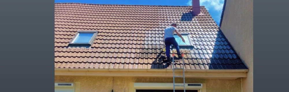 Sandy S. (Stenegre Couverture)