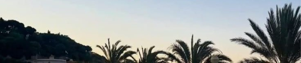 Salah Eddine G.