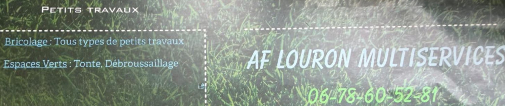 Anthony F. (Af Louron Multiservice)