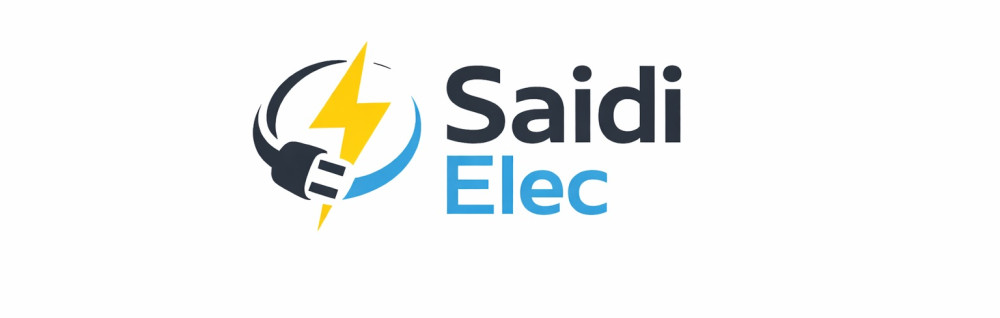 Driss S. (Saidi Elec)