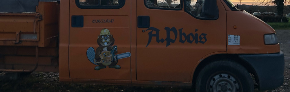 Anthony P. (A.P bois)