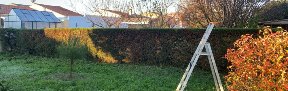 Hugo E. (ESTALLES PAYSAGE)