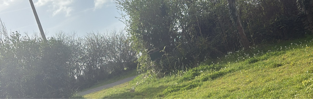 Tintin M. (Prohabitat)