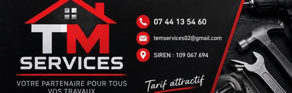 Teo M. (TM Services)