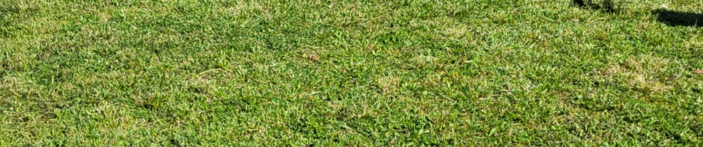 Jonathan P. (Jo-multiservices)