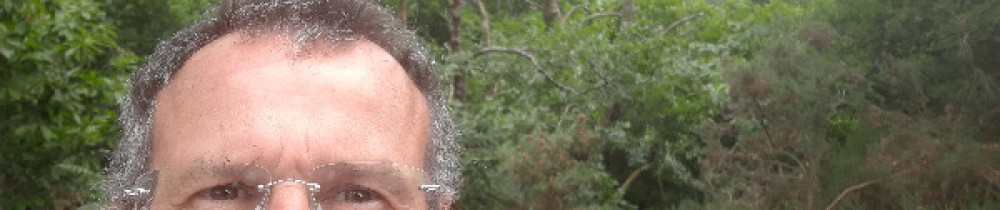 Denis D.