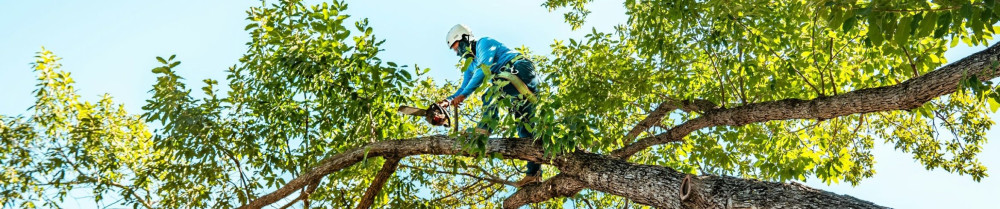 Reinhard J. (R.J SERVICES)