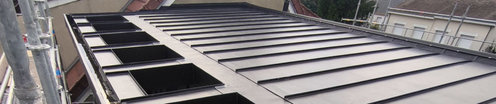 Calin L. (CALIN LUPU)