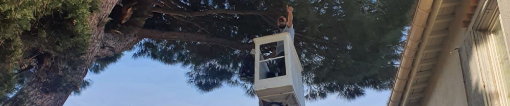 Alexandre B. (Alexandre Élagage)