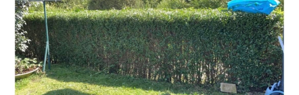 Elie W. (Multi-services wind)