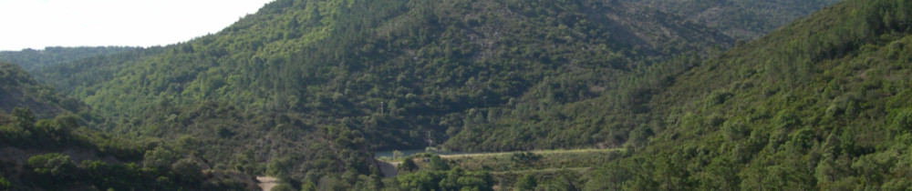 Jean-Pierre P. (Jean-Pierre Porte)