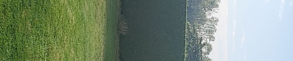 Spitaels S. (Spitaels paysagiste entre...