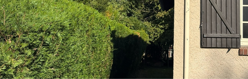 Doris H. (Haye paysage)