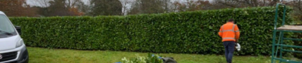 Alfred H. (ent hacquel)