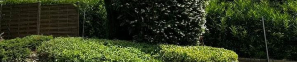 Christophe L. (C-C PAYSAGE)