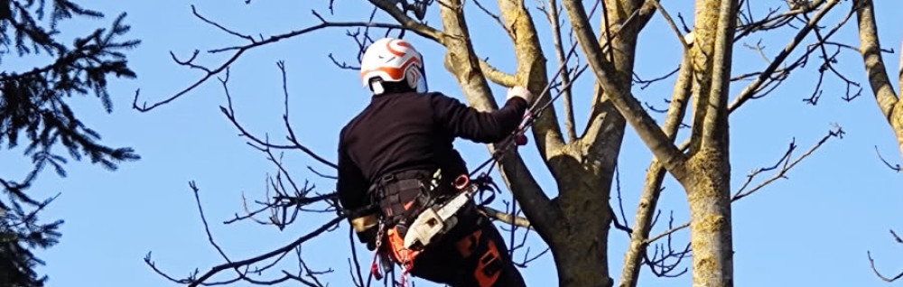 Loyd H. (https://www.horn-elagage.fr)