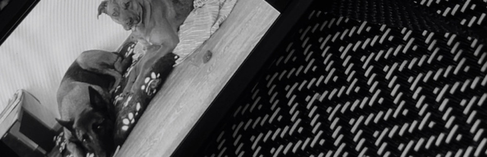 Oceane M. (Oc’clean)