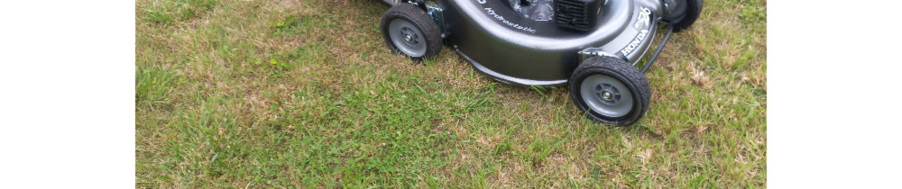 Christophe B. (Christophe paysage)