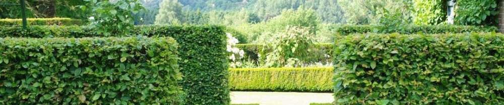 Charli G. (Ets gimenez)