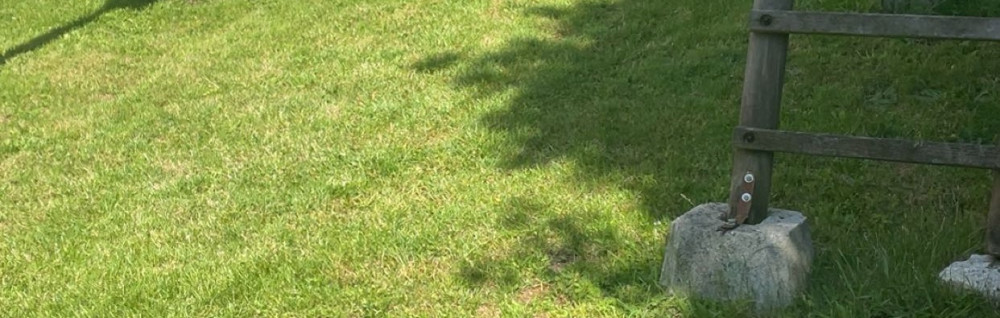 Adrien A. (Ad -paysagiste)