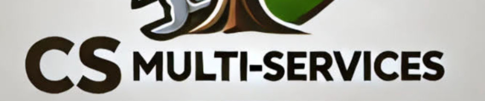 Christophe S. (cs multiservice)