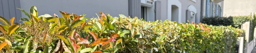 Valentin G. (Natura Vert)