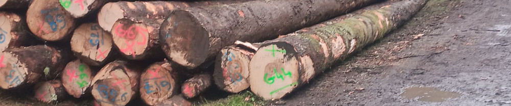 Entreprise Individuelle William Frossa...