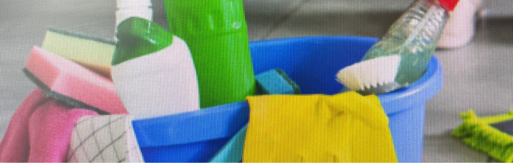 Morgane M. (brigade du nettoyage)