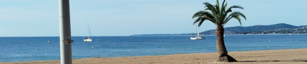 Pierre M. (pierre reprog 83)