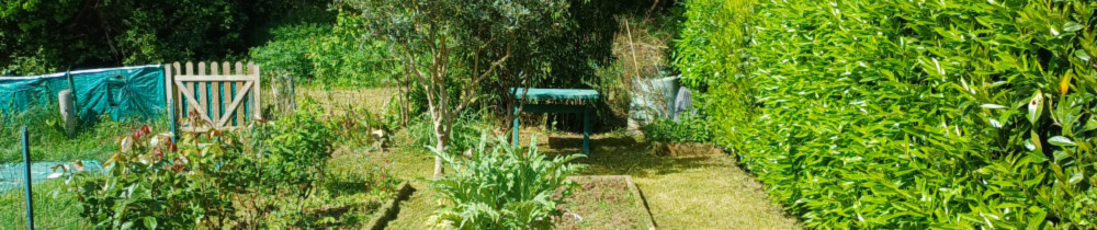 Frederic S. (Frederic stoquert)