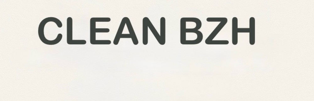 Ludivine L. (Clean Bzh)