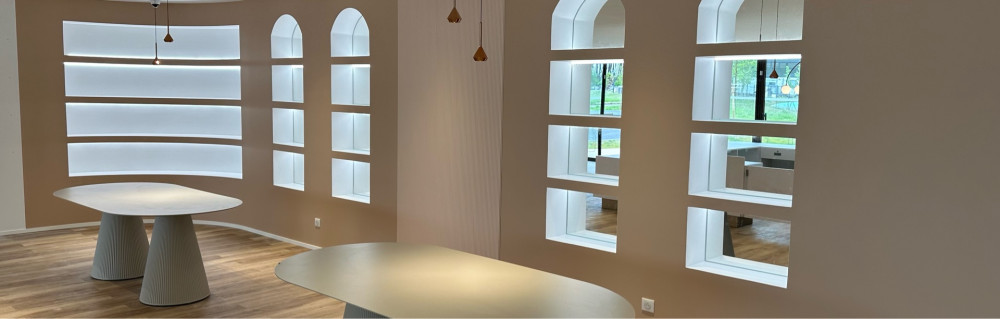 Cosmin D. (Didu Peinture)