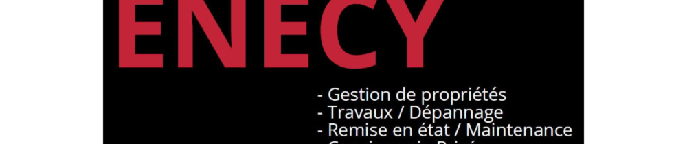 Matthieu C. (ENECY conciergerie)