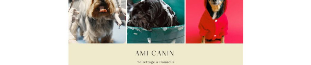 Karine B. (Ami Canin toilettage à Domi...