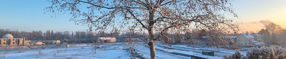 Steve S. (Carreleur)