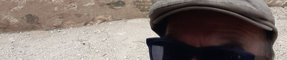 Dominique M.