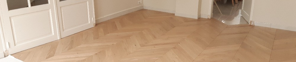 Guillaume D. (Dronne)