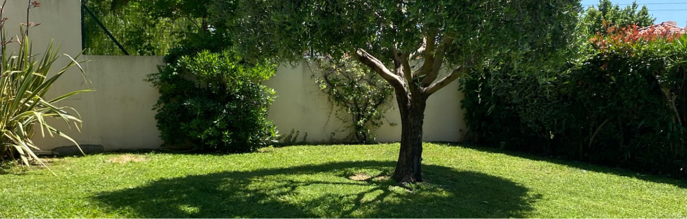 Dylan Q. (Dylan Azur Jardin)