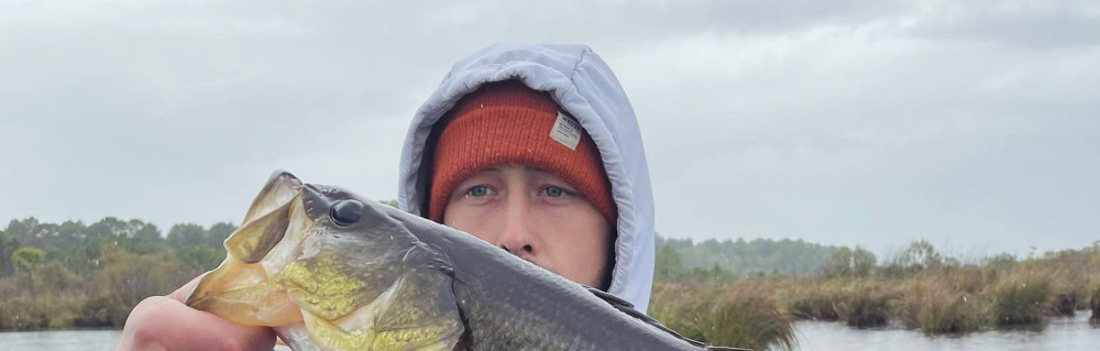 Theo L. (TLB MULTISERVICES)