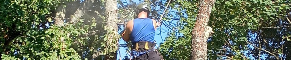 Mazards K. (Mazards Kenzo)